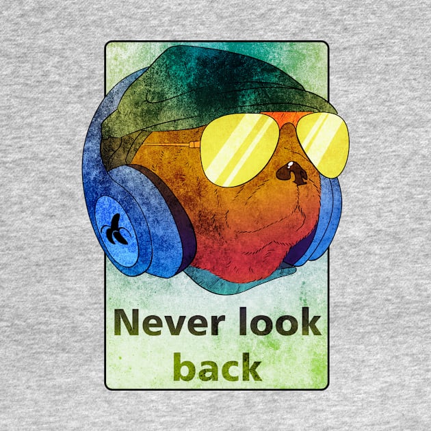 Never look back by vanpaul54